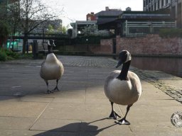 Manchester Punk Festival &amp; F*cking Angry in Liverpool (Eastern/April 2023)