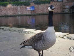 Manchester Punk Festival &amp; F*cking Angry in Liverpool (Eastern/April 2023)